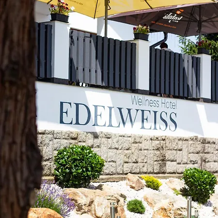 Wellness Edelweiss Hotel Liberec