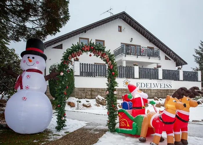 Wellness Edelweiss 4* Liberec