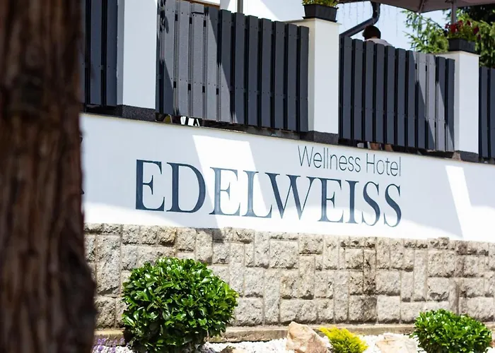 Wellness Edelweiss Hotell Liberec